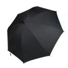 Fan Umbrella